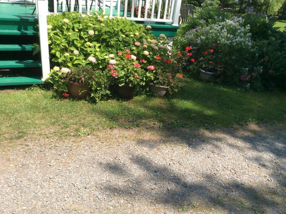 Gite Macdale B&B Paspebiac Exteriör bild